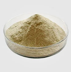Non Active Edible Yeast